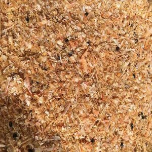 BEST SELLER 2024 I Cangrejo seco Color de cuerno natural I su mejor opción I Alta CALIDAD DE Vietnam - Product Image 4