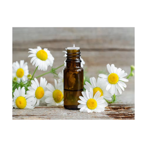 Aceite portador de aceite esencial de manzanilla puro y natural 100% para aliviar las condiciones de la piel al por mayor a precios bajos - Product Image 1