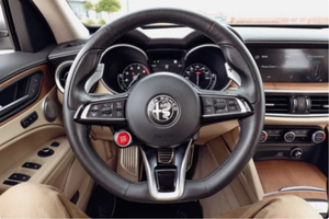 LISTO PARA CONDUCIR - USADO, VOLANTE A LA IZQUIERDA |   1600-MILEAGESS 2023 LORDSSSTOWNNNSS ENDDURANCEESSS - Product Image 4