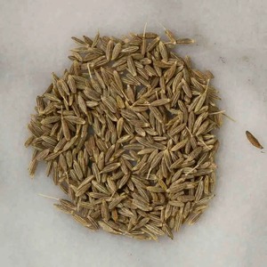 Qualité supérieure Offre Spéciale de qualité supérieure 100% Pure AD Graines de cumin d'épices simples crues séchées pour les acheteurs en gros - Product Image 3