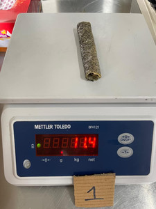 บาซาผิวปลาสำหรับสัตว์เลี้ยงของคุณ | ทางเลือกที่ดีที่สุดสำหรับสัตว์เลี้ยงของคุณ - Product Image 5