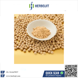 Herbojit International - Salsa de Soya Natural en Polvo Seca por Aspersión, Ingrediente de Sabor para Alimentos, Condimento al por Mayor a Buen Precio - Product Image 6
