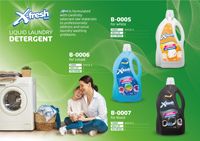 Détergent liquide pour lessive multifonctionnel X-FRESH, directement de l'usine, 3L, parfum floral, écologique, couleur personnalisée, toutes les couleurs, le meilleur