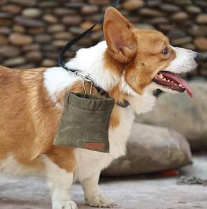 Recogedor de Excrementos de Perro Simple con Dispensador de Bolsas Biodegradables, Portátil, para Paseos con Perros - Product Image 4