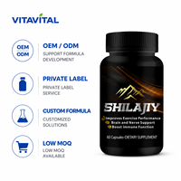 Kapsul Shilajit Suplemen Herbal Dewasa OEM ODM Label Pribadi Produsen Formula Khusus Dukungan Kekebalan Tubuh Alami Organik 60