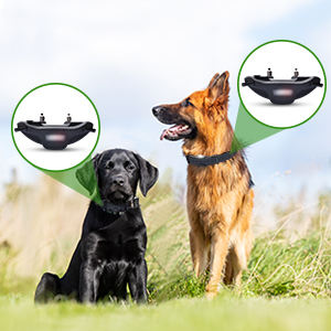 Collier anti-aboiement pour chien à distance - Rechargeable, écologique, équipement d'agilité, étanche IPX7, collier récepteur - Product Image 5