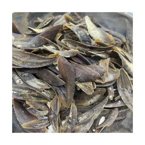 Opercule de coquillage, ingrédient naturel, vente en gros, fournisseur en vrac, export direct d'usine, OEM - Product Image 1