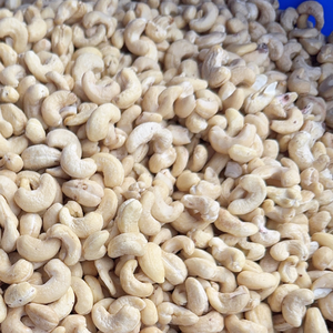 Fournisseur de confiance W180 W240 W320 Noix de cajou grillées entières Fournisseurs de noix de cajou Santigo Vietnam En provenance de Santigo Vietnam - Product Image 1