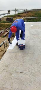 ISONEM MS POLIA Membrana Líquida Acrílica Diseño Moderno Fuerte y Flexible Resistente a los Rayos UV Impermeabilizante para Techos Open Walk Hecho en Turquía 5 - Product Image 4