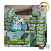 Coco fresco joven con paja y tapa | Embalaje OEM, agua de coco natural lista para beber