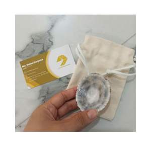 LIMPET SEASHELL SOUVENIR SHOP LIMPET PULIDO DE ALTA CALIDAD SEASHELL PARA SOUVENIR Y DECORACIÓN DE JOYERÍA EMBALAJE PERSONALIZADO - Product Image 5