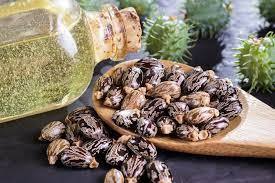 Etiqueta privada Logotipo de embalaje de marca OEM Aceite de ricino prensado en frío/Aceite de ricino en diferentes embalajes (30ml/100lm/120ml/500mk) India - Product Image 4