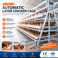 Nouveau système de cages à poules de type A pour l'élevage automatique de poules pondeuses, équipement avicole avec alimentation automatique pour la production d'œufs et gain de place