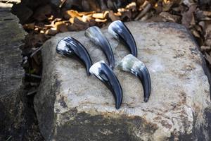 Meilleure qualité Viking ensembles de corne à boire artisanat Agate gobelet support en bois poli Animal nautique nautique Viking boire - Product Image 6