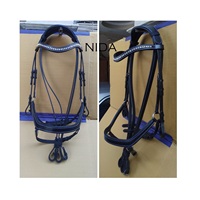 Bridon d'équitation anatomique de luxe en cuir végétal teint au tambour de qualité supérieure avec cristaux pour l'équitation