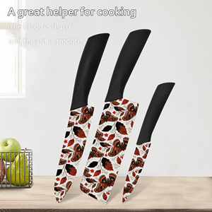Cuchillo de Chef de Cerámica al por Mayor de Fábrica con Mango de Plástico para Cocina, Calidad Premium, Envío Gratis - Product Image 3