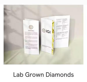 0.50CT D Couleur VVS2 Clarté Coupe Ovale Diamant de Laboratoire CVD IGI Certifié Pierre Lâche Haute Qualité Fournisseur Vérifié Inde - Product Image 2