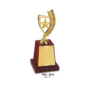 Trofeo de estrella de plumas de metal de alta demanda para celebraciones de equipos y honores especiales disponible a precio competitivo de la India - Product Image 3