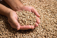 Pellets de bois cylindriques VINAGREEN de qualité export du Vietnam pour système de chauffage – Prix compétitif et approvisionnement stable – 100 % sans taxes