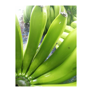 กล้วยเขียวเหลืองส่งตรงจากเวียดนาม - Product Image 2