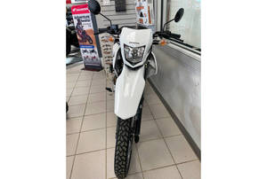 Prêt à être expédié : 2025 XR 150L - Product Image 4