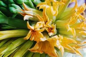 ETIQUETA LIMPIA FLOR CALABAZA ENTERA CONGELADA VEGETAL ORGÁNICO RICO EN NUTRIENTES APOYO INMUNE BASADO EN PLANTAS - Product Image 3