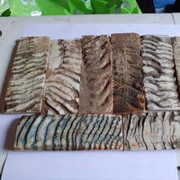 Plaques de corne de bélier naturelles, brutes, style animalier, de haute qualité, imperméables, taille personnalisée, artisanat d'Inde