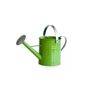 Arrosoir en métal galvanisé de la meilleure qualité pour la décoration de jardin extérieur disponible au tarif de gros bon marché - Product Image 6