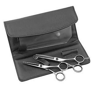 ชุดกรรไกรตัดผมสแตนเลสคุณภาพดีแบบพรีเมี่ยม | ชุดกรรไกรตัดผมแบบบาง2ใบพร้อมซิป - Product Image 2