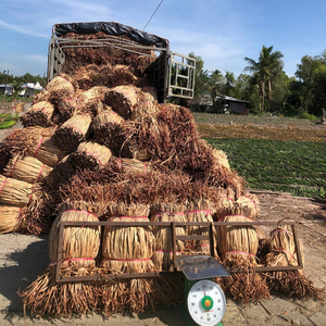El mejor vendedor, jacinto de agua seca, material de jacinto de agua cruda seca natural para artesanías - Product Image 6