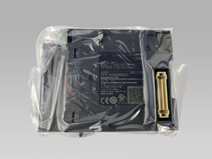 Module de sortie de relais PLC RY48PT20S-TS de haute qualité avec 48 points et performances de contrôle fiables - Product Image 2