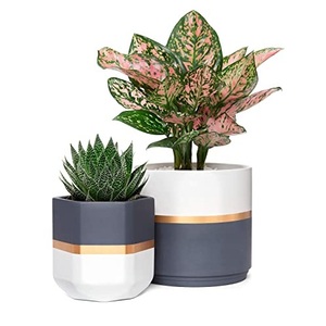 Top Trending Home and Garden Decoration Stylish Plant Pot <b>Antique</b> Finished Planter Normal Design Style Garden Planter Pot - Product Image 5