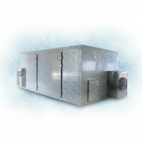 CE-gecertificeerde fruitdroogmachine, knoflookdehydrator