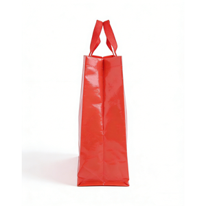 PP Woven Shopping Bags with Hook & Loop Closure and PP Webbing Handles Multi-Size <b>Box</b> <b>Packaging</b> - Product Image 3