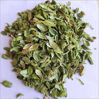 Especias TCUT/TBC de cardamomo verde de alta calidad para buena harina disponibles a precio mayorista del proveedor indio cardamomo verde - Product Image 3