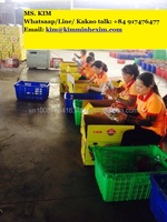 Verse Dragon Fruit/Pitaya Fruit 350GR Rood/Wit Vlees Graad A Kim Minh International KMI