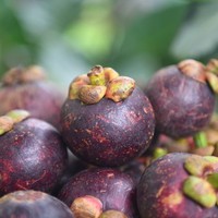 Biologische verse mangosteen uit Thailand - Queen Fruits, volle smaak, zoet, gezonde voordelen, kwaliteit Khey Taladthai, 1-2 weken houdbaarheid