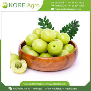 Produit sain et biologique de qualité alimentaire Meilleure qualité Amla naturel à prix compétitif de l'exportateur indien - Product Image 2