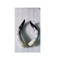 Vente en gros de corne de paire de buffle de style corne de boeuf montée une seule corne de vache polie faite à la main produit le plus vendu
