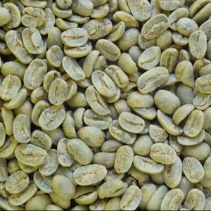 Vietnam Organic Arabica <b>Green</b> Coffee <b>Beans</b> Size 18 USDA Organic Certified TNFOOD Brand AA+ Grade 1000kg Bulk Export Wholesale - Product Image 1