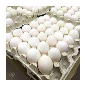 Huevos de Gallina Blancos de la Mejor Calidad, Venta al por Mayor del Fabricante, Mejor Precio - Product Image 2