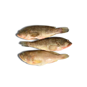 Meroïne entière congelée, poisson frais, produits de la mer, emballage sous vide, export en gros, produits en vrac, vente à bas prix - Product Image 3