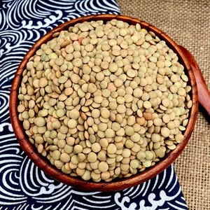 Lentilles vertes fraîches biologiques et courantes en gros d'Australie - Product Image 1