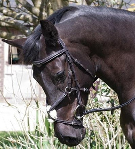 Bride de nez mexicaine professionnelle Elegance Équipement d'équitation en cuir de haute qualité avec logo personnalisé - Product Image 2