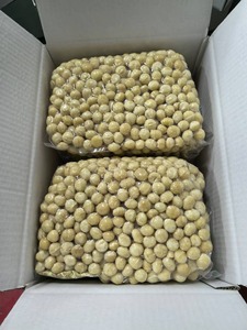 Noix de macadamia de qualité supérieure crues et grillées, salées, collations saines, noix de macadamia séchées sans coque - Product Image 6
