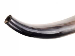 แตรเป่ารูปควายทำจากธรรมชาติงานหัตถกรรมสำหรับตกแต่งสไตล์ไวกิ้ง - Product Image 5