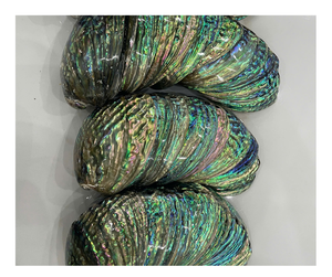 เปลือกหอยเป๋าฮื้อแท้-แบบดิบ & ขัดเงาเปลือกหอยเป๋าฮื้อสำหรับเครื่องประดับของตกแต่งบ้าน-ผู้จำหน่ายจากเวียดนามมีข้อเสนอข้อเสนอจำนวนมากที่ดีที่สุด - Product Image 4