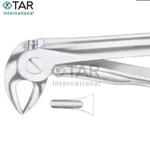 มะเดื่อ33L คีมถอนฟันขนาดต่างๆขายส่งราคาจำนวนมาก - Product Image 4