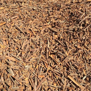 Cassia herbe unique vietnamienne séchée traitement brut qualité supérieure marché vietnamien épicé chaud - Product Image 3