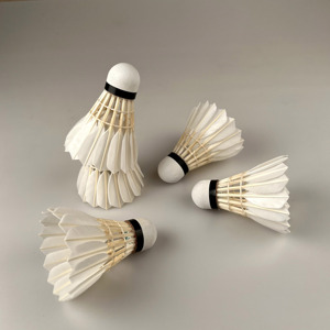 2021 LIBOTAI ลูกขนไก่ไฟฟ้าขนห่านวัสดุ - Product Image 4